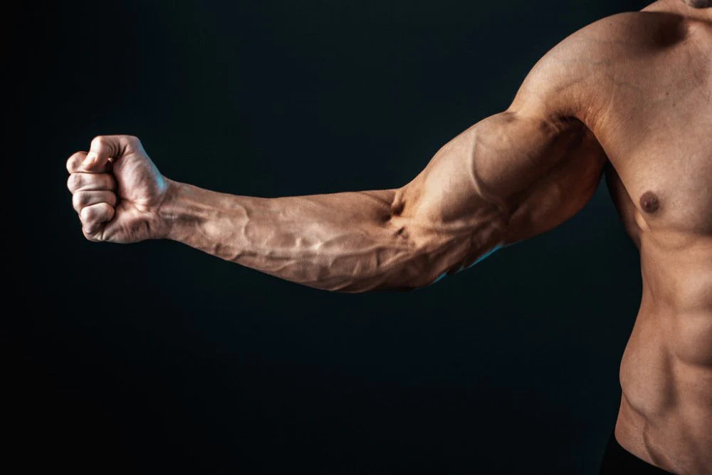 Hypertrophy-focused forearm workouts use moderate weights and higher repetitions (10-15 reps) to promote muscle growth. These exercises maximize time under tension to build larger, more defined forearms.