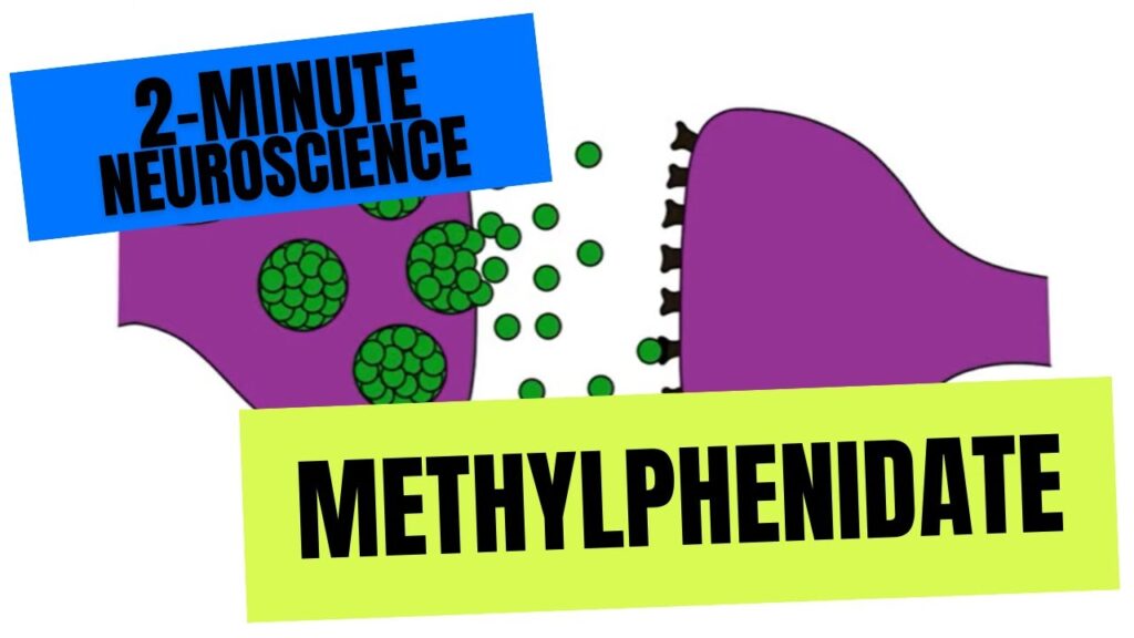 Methylphenidate is a schedule II controlled substance due to its potential for dependence but is legally prescribed for legitimate medical purposes. It is structurally and pharmacologically similar to amphetamines but typically has fewer euphoric side effects.